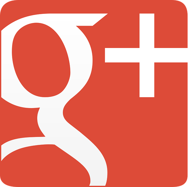 Google+